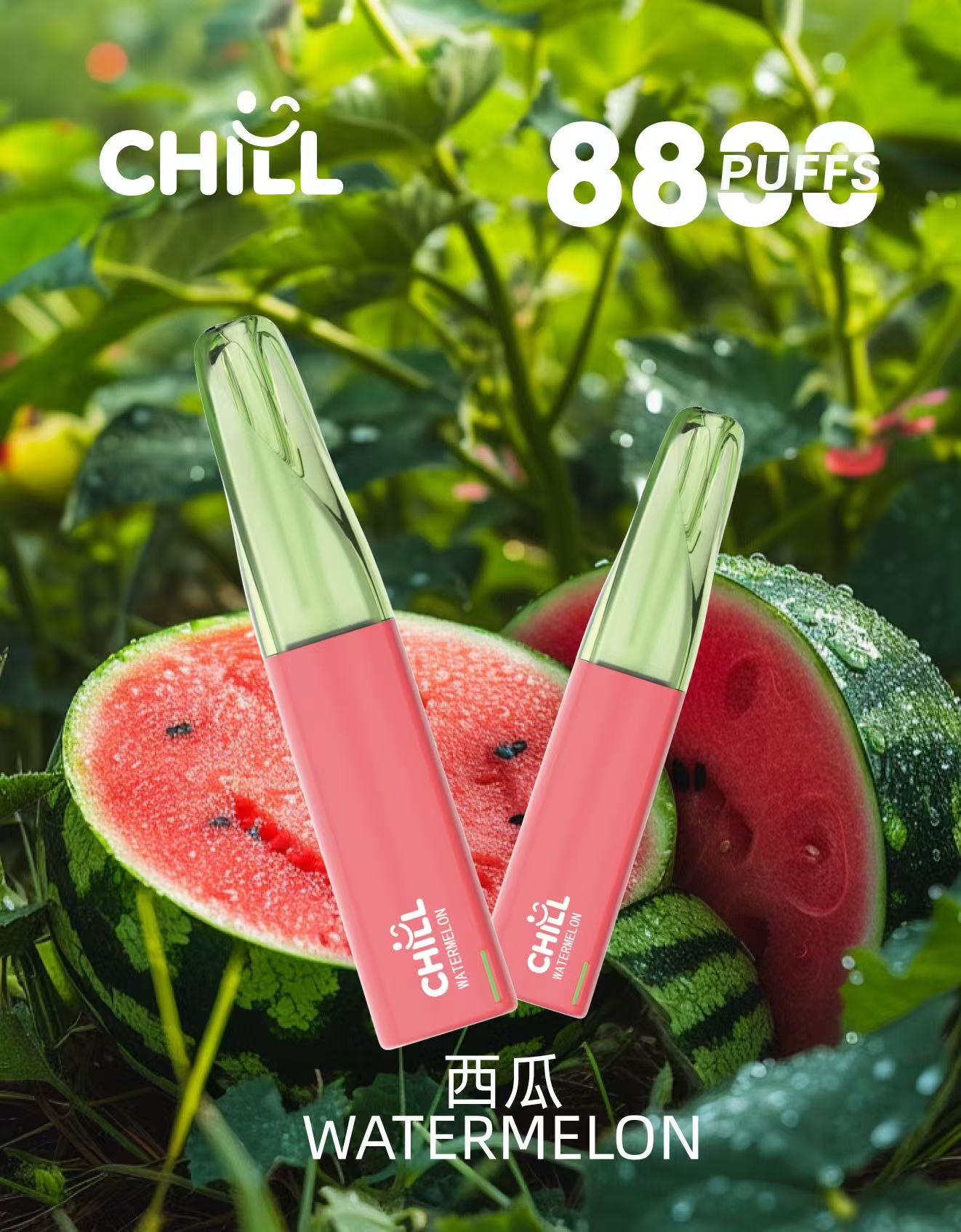 始祖鳥CHILL 8800口隨身電子煙｜口數紮實×輕巧機身免充電免添油